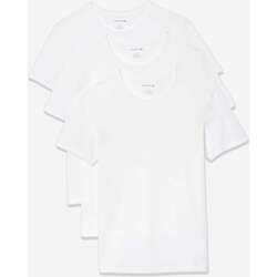 Textiel Heren T-shirts & Polo’s Lacoste tee 3 pack Wit