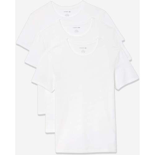 Textiel Heren T-shirts & Polo’s Lacoste tee 3 pack Wit