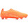 Schoenen Heren Voetbal Puma  Oranje