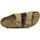 Schoenen Dames Sandalen / Open schoenen Birkenstock Arizona Bs Beige