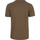 Textiel Heren T-shirts & Polo’s Dstrezzed Mc Queen T-shirt Melange Bruin Groen Groen