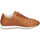 Schoenen Dames Sneakers Stokton EY880 Bruin