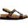 Schoenen Dames Sandalen / Open schoenen Scholl 231472 Zwart