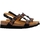 Schoenen Dames Sandalen / Open schoenen Scholl 231472 Zwart