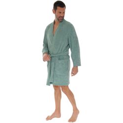 Textiel Heren Pyjama's / nachthemden Pilus FELICIEN Groen