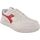 Schoenen Kinderen Sneakers Diadora RAPTOR LOW Multicolour