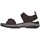 Schoenen Heren Sandalen / Open schoenen Skechers MANDEN  205112 Bruin
