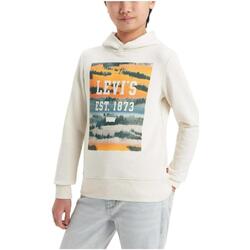 Textiel Jongens Sweaters / Sweatshirts Levi's  Beige