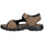 Schoenen Heren Sandalen / Open schoenen Lois 74591 Bruin