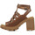 Schoenen Dames Sandalen / Open schoenen Timberland Allington Heights Bruin