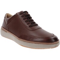 Schoenen Heren Sneakers Valleverde VV-360992 Bruin