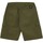 Textiel Heren Korte broeken / Bermuda's Iuter Cargo Rispstop Shorts Groen