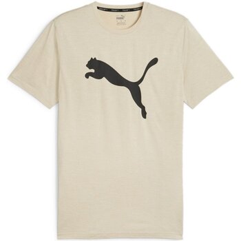 Textiel Heren T-shirts korte mouwen Puma  Bruin