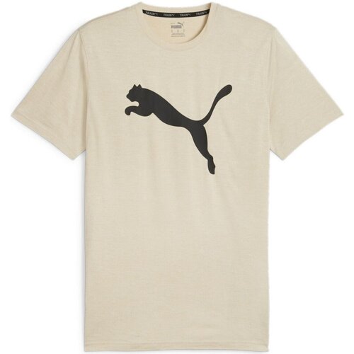 Textiel Heren T-shirts korte mouwen Puma  Bruin