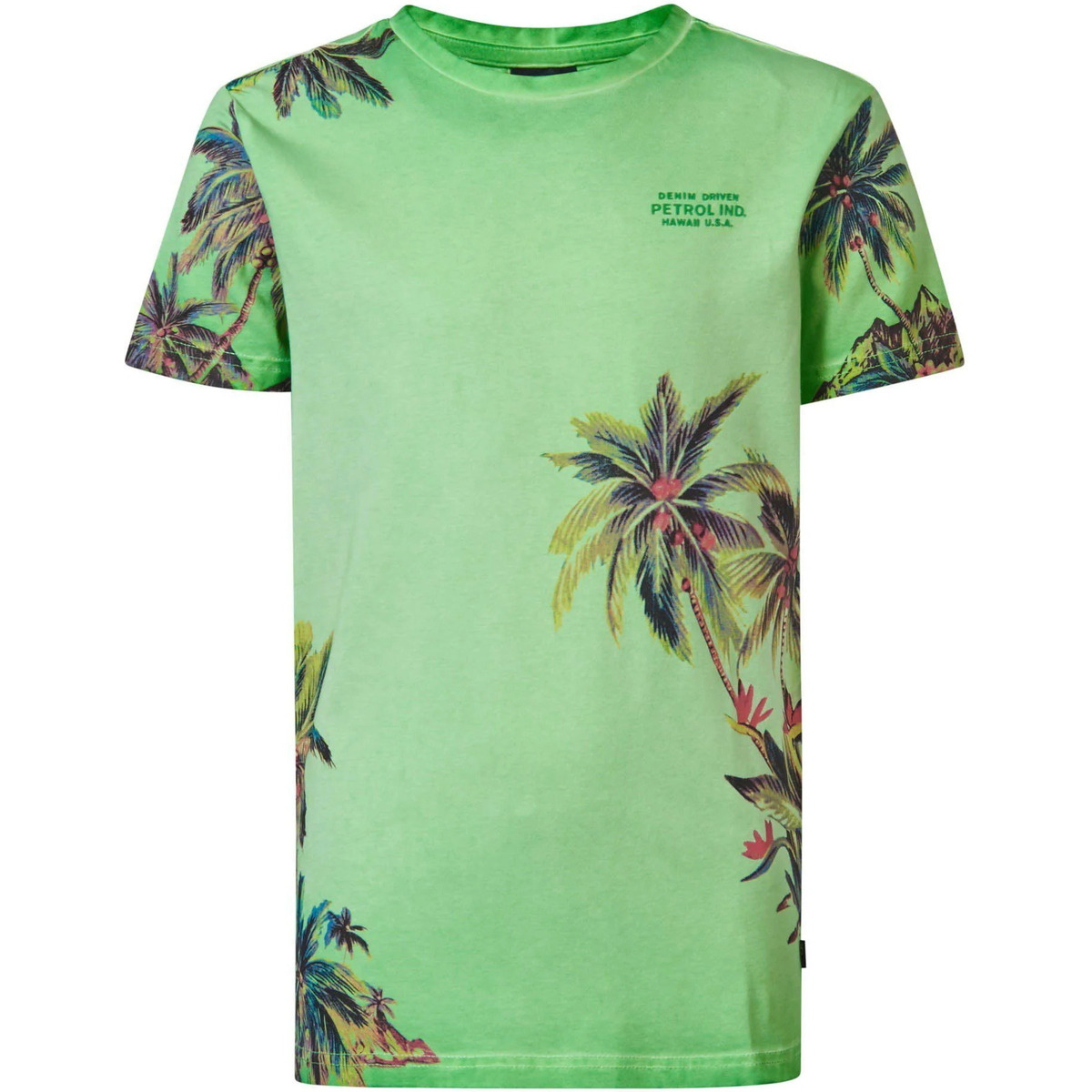 Textiel Heren T-shirts & Polo’s Petrol Industries T-Shirt Botanical Palmboom Groen Groen