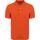 Textiel Heren T-shirts & Polo’s Napapijri Ealis Polo Oranje Oranje