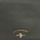 Tassen Dames Handtassen lang hengsel U.S Polo Assn. BEUSS5487WVP-GREEN Groen