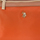 Tassen Dames Handtassen lang hengsel U.S Polo Assn. BIUHU4920WIP-ORANGE Oranje