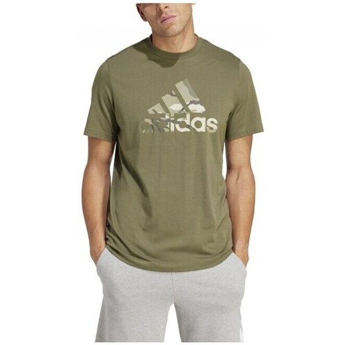 Textiel Heren T-shirts korte mouwen adidas Originals  Groen
