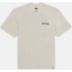 Textiel Heren T-shirts & Polo’s Dickies  