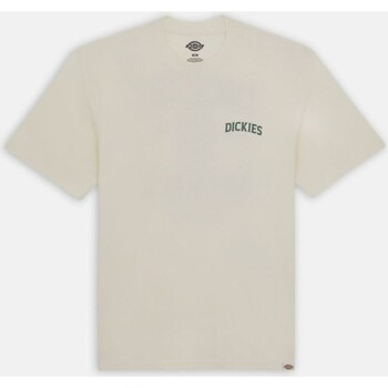 Textiel Heren T-shirts & Polo’s Dickies  