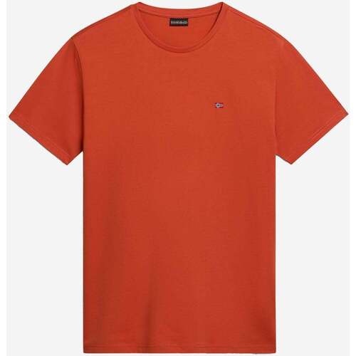 Textiel Heren T-shirts & Polo’s Napapijri Salis ss sum t-shirt Oranje