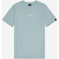 Textiel Heren T-shirts & Polo’s Ellesse Ollio t-shirt Groen