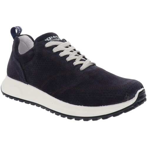 Schoenen Heren Sneakers IgI&CO IG-5635611 Blauw