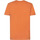 Textiel Heren T-shirts & Polo’s Petrol Industries T-Shirt Palmetto Oranje Oranje