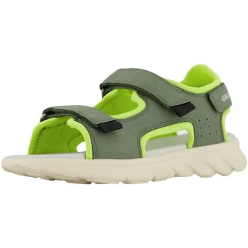 Schoenen Jongens Sandalen / Open schoenen Geox  Groen