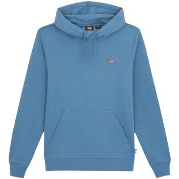 Textiel Heren Sweaters / Sweatshirts Dickies  Blauw