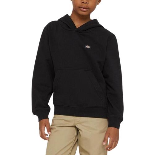 Textiel Jongens Sweaters / Sweatshirts Dickies  Zwart