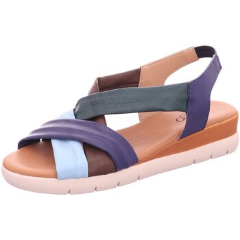 Schoenen Dames Sandalen / Open schoenen Longo  Blauw