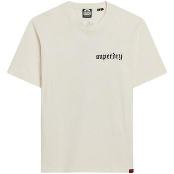 Textiel Heren T-shirts korte mouwen Superdry  Beige