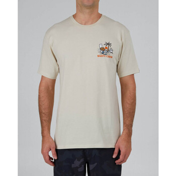 Textiel Heren T-shirts & Polo’s Salty Crew Siesta premium s/s tee Beige