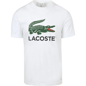 Textiel Heren T-shirts & Polo’s Lacoste T-Shirt Logo Wit Wit