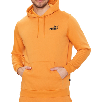Textiel Heren Sweaters / Sweatshirts Puma  Oranje