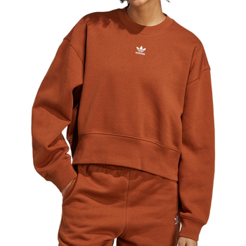 Textiel Dames Sweaters / Sweatshirts adidas Originals  Bruin