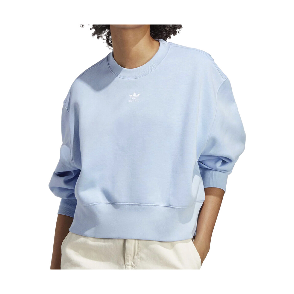Textiel Dames Sweaters / Sweatshirts adidas Originals  Blauw