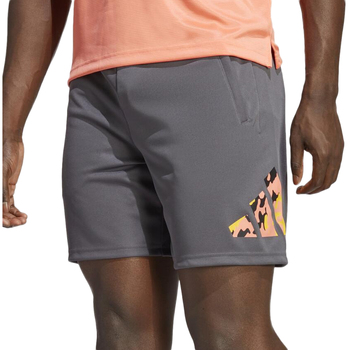 Textiel Heren Korte broeken / Bermuda's adidas Originals  Grijs
