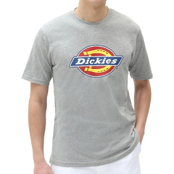Textiel Heren T-shirts & Polo’s Dickies  Grijs