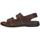Schoenen Heren Sandalen / Open schoenen Arizona 74910 Bruin