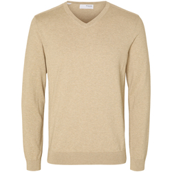 Textiel Heren Sweaters / Sweatshirts Selected Berg Pullover V-Neck Kelp Beige
