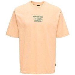 Textiel Heren T-shirts korte mouwen Only & Sons  22028736 KENNY Geel