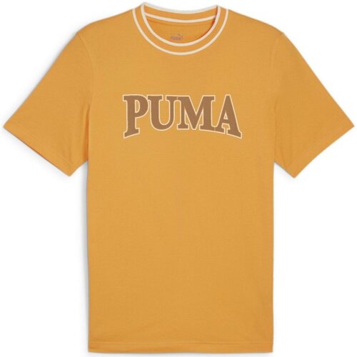 Textiel Heren T-shirts korte mouwen Puma  Oranje