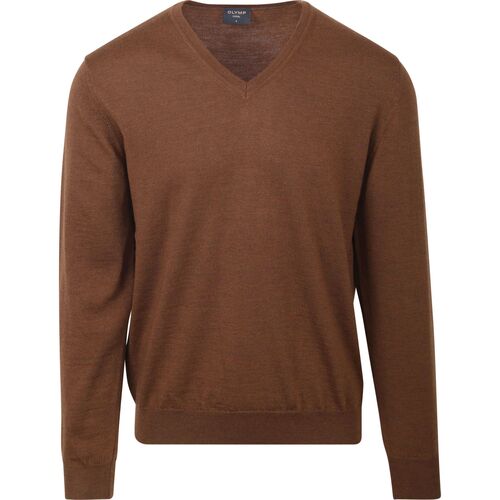 Textiel Heren Sweaters / Sweatshirts Olymp Casual Trui Wol Bruin Bruin