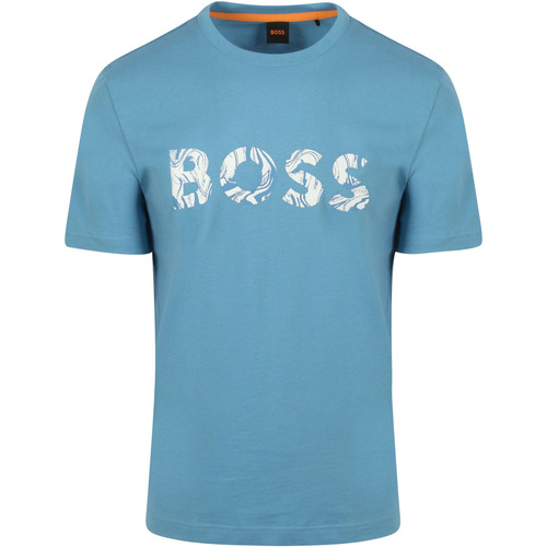 Textiel Heren T-shirts & Polo’s BOSS T-shirt Bossocean Blauw Blauw
