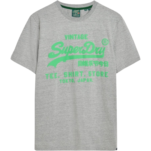 Textiel Heren T-shirts korte mouwen Superdry 235563 Grijs