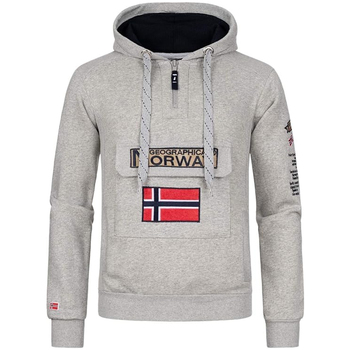 Textiel Heren Sweaters / Sweatshirts Geographical Norway  Grijs