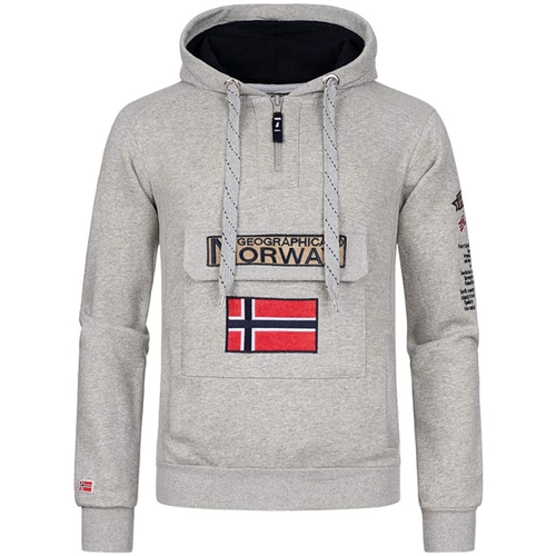 Textiel Heren Sweaters / Sweatshirts Geographical Norway  Grijs